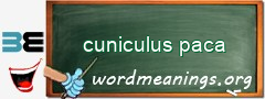 WordMeaning blackboard for cuniculus paca